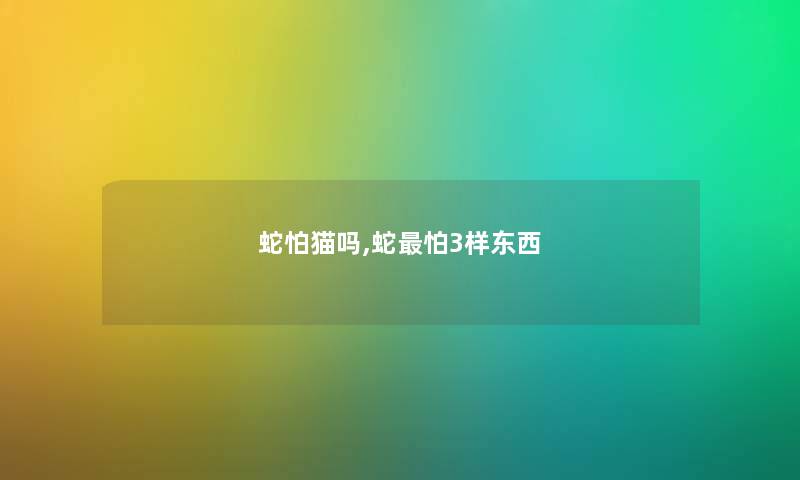 蛇怕猫吗,蛇怕3样东西