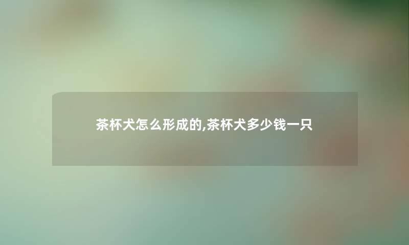茶杯犬怎么形成的,茶杯犬多少钱一只 茶杯犬怎么形成的,茶杯犬多少钱一只