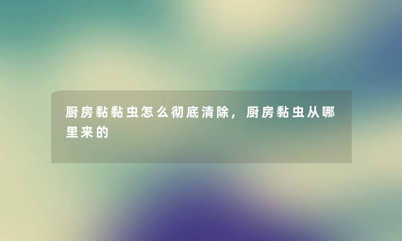 厨房黏黏虫怎么彻底清除,厨房黏虫从哪里来的 厨房黏黏虫怎么彻底清除,厨房黏虫从哪里来的