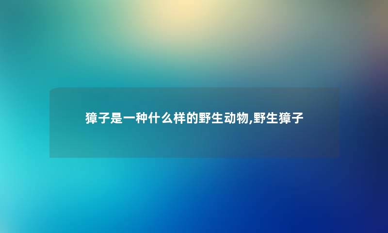 獐子是一种什么样的野生动物,野生獐子 獐子是一种什么样的野生动物,野生獐子