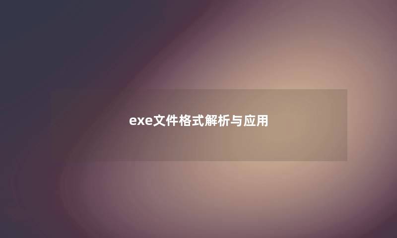 exe文件格式解析与应用