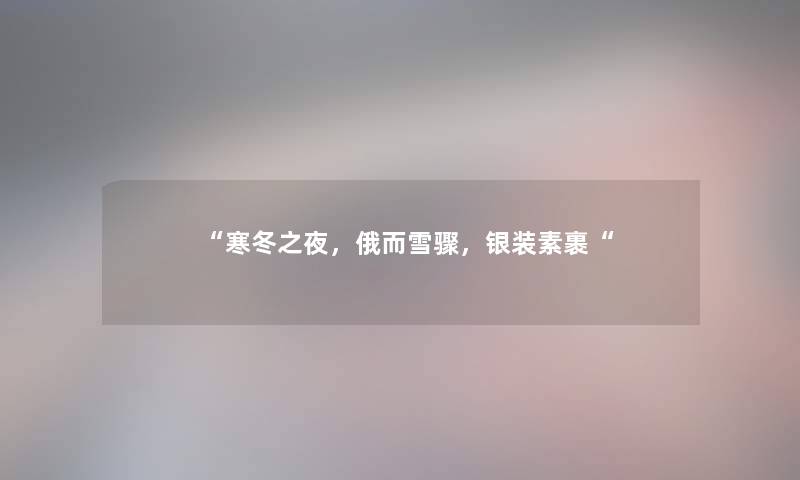 “寒冬之夜，俄而雪骤，银装素裹“