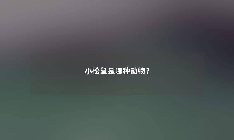 小松鼠是哪种动物？