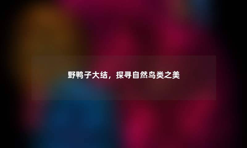 野鸭子大结，探寻自然鸟类之美