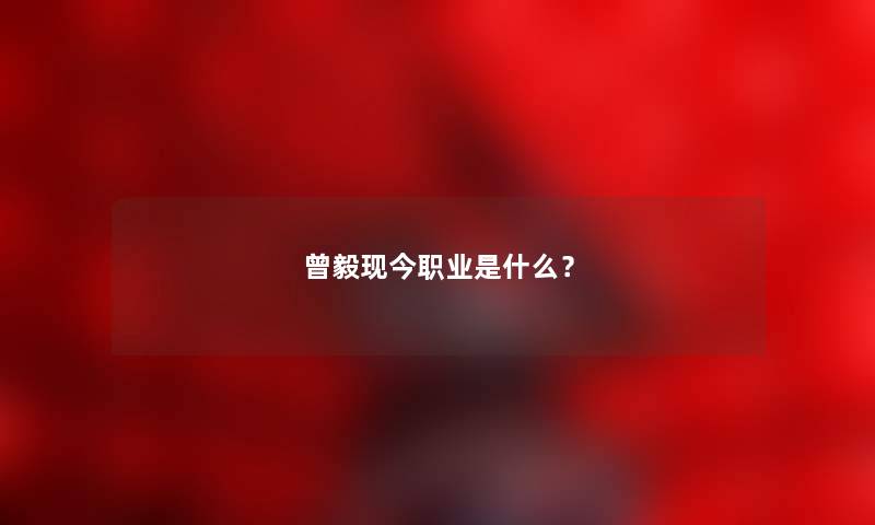 曾毅现今职业是什么？