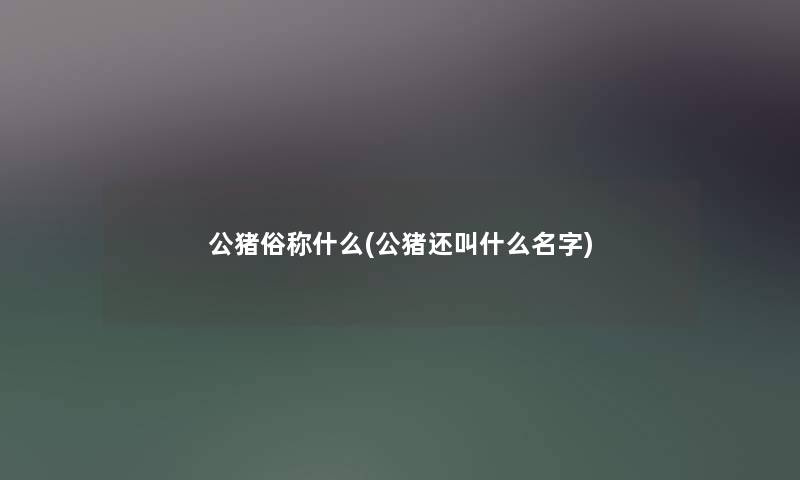 公猪俗称什么(公猪还叫什么名字) 公猪俗称什么(公猪还叫什么名字)