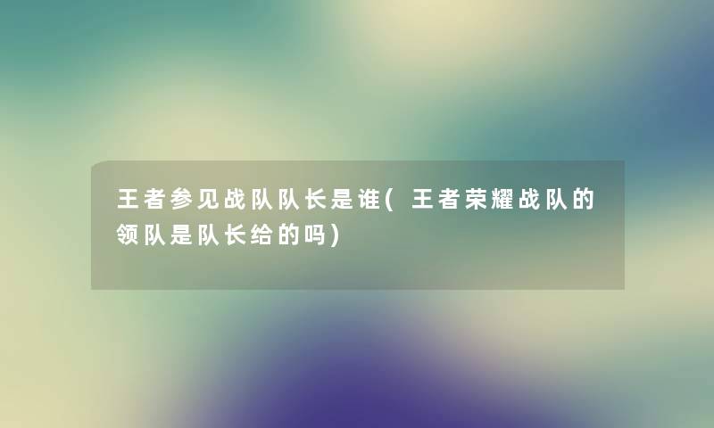 王者参见战队队长是谁(王者荣耀战队的领队是队长给的吗) 王者参见战队队长是谁(王者荣耀战队的领队是队长给的吗)