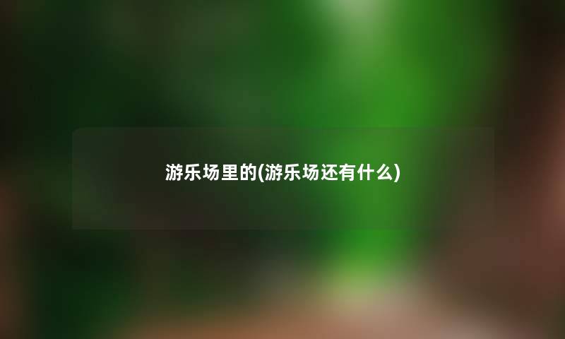 游乐场里的(游乐场还有什么)