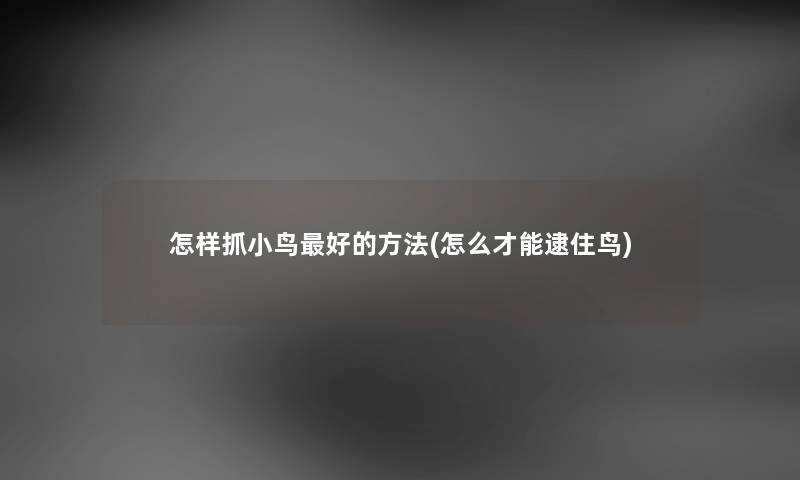 怎样抓小鸟好的方法(怎么才能逮住鸟) 怎样抓小鸟好的方法(怎么才能逮住鸟)
