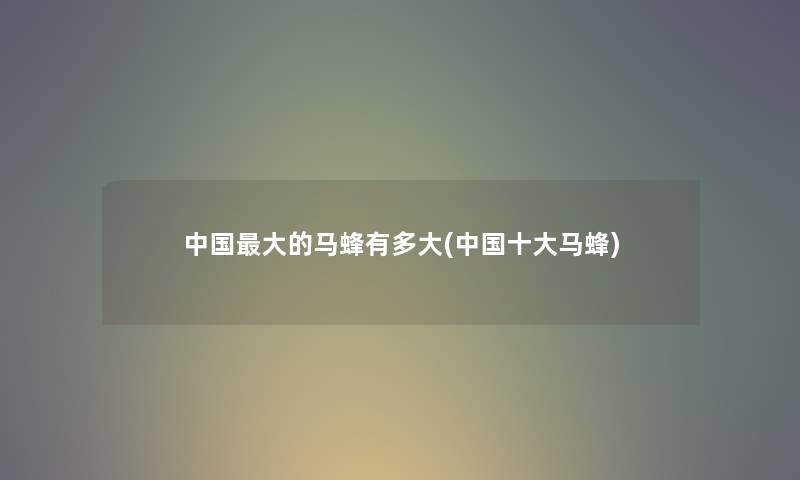 中国大的马蜂有多大(中国一些马蜂) 中国大的马蜂有多大(中国一些马蜂)