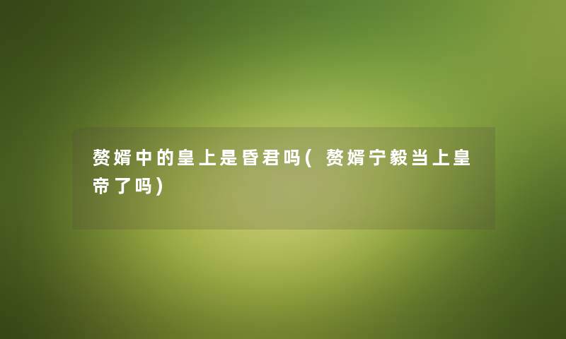 赘婿中的皇上是昏君吗(赘婿宁毅当上皇帝了吗) 赘婿中的皇上是昏君吗(赘婿宁毅当上皇帝了吗)