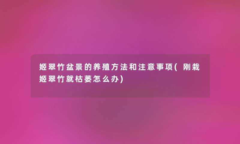 姬翠竹盆景的养殖方法和事项(刚栽姬翠竹就枯萎怎么办) 姬翠竹盆景的养殖方法和事项(刚栽姬翠竹就枯萎怎么办)
