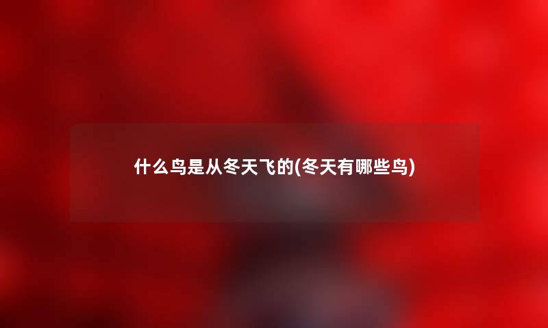 什么鸟是从冬天飞的(冬天有哪些鸟) 什么鸟是从冬天飞的(冬天有哪些鸟)