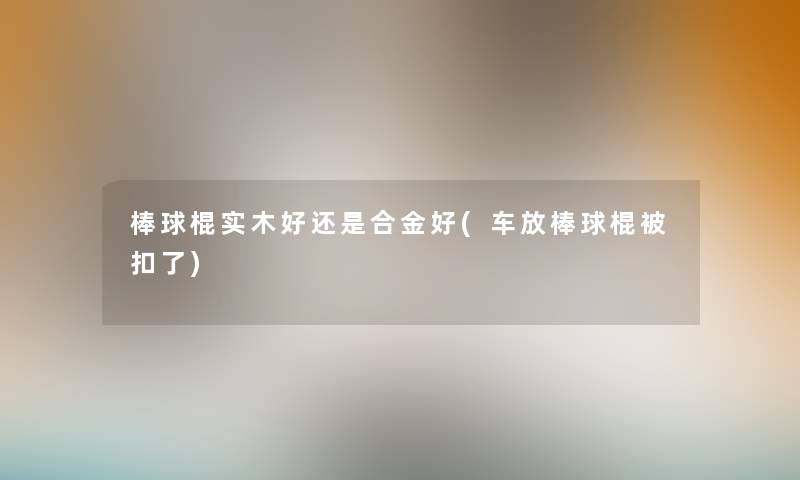 棒球棍实木好还是合金好(车放棒球棍被扣了) 棒球棍实木好还是合金好(车放棒球棍被扣了)