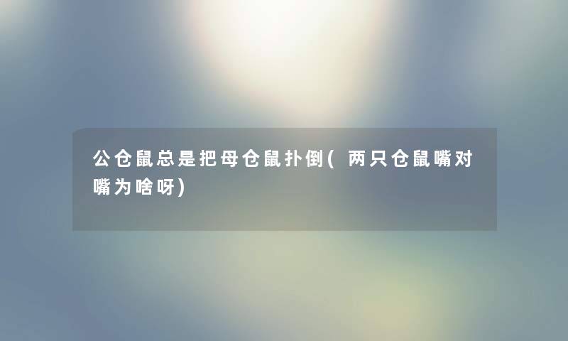 公仓鼠总是把母仓鼠扑倒(两只仓鼠嘴对嘴为啥呀) 公仓鼠总是把母仓鼠扑倒(两只仓鼠嘴对嘴为啥呀)