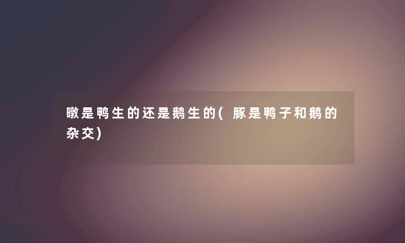 暾是鸭生的还是鹅生的(豚是鸭子和鹅的杂交) 暾是鸭生的还是鹅生的(豚是鸭子和鹅的杂交)