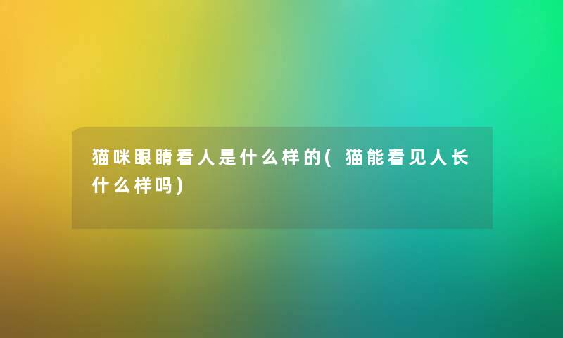 猫咪眼睛看人是什么样的(猫能看见人长什么样吗) 猫咪眼睛看人是什么样的(猫能看见人长什么样吗)