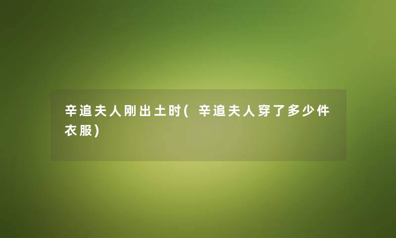 辛追夫人刚出土时(辛追夫人穿了多少件衣服) 辛追夫人刚出土时(辛追夫人穿了多少件衣服)