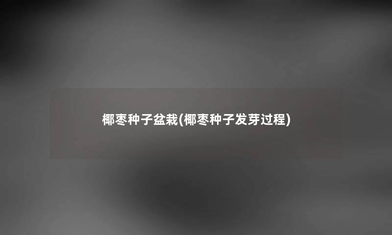 椰枣种子盆栽(椰枣种子发芽过程) 椰枣种子盆栽(椰枣种子发芽过程)