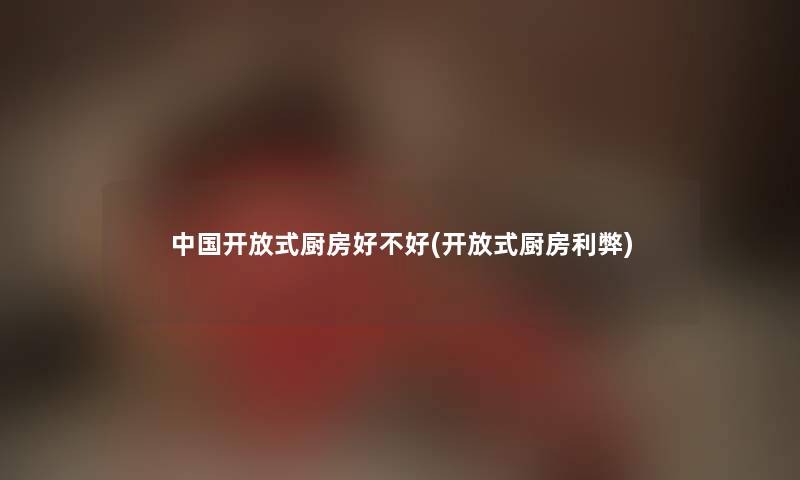 中国开放式厨房好不好(开放式厨房利弊) 中国开放式厨房好不好(开放式厨房利弊)