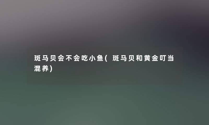 斑马贝会不会吃小鱼(斑马贝和黄金叮当混养) 斑马贝会不会吃小鱼(斑马贝和黄金叮当混养)