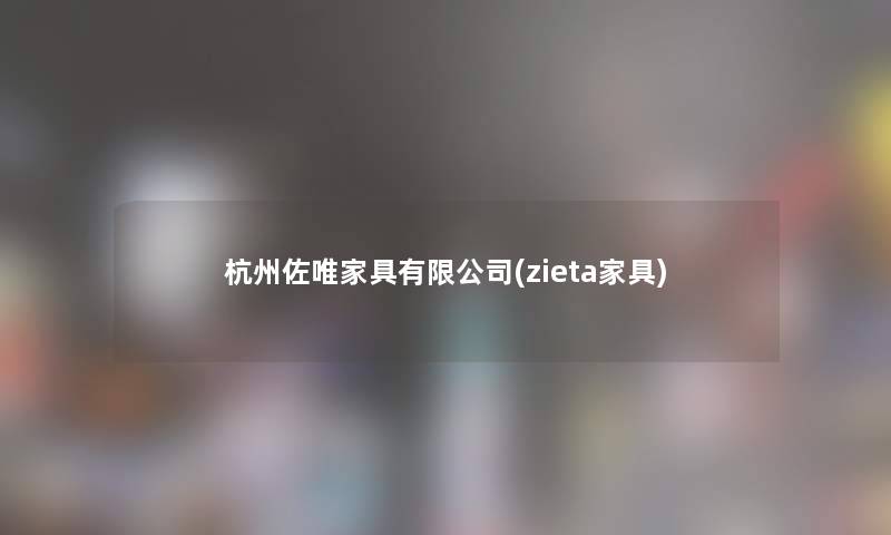 杭州佐唯家具有限公司(zieta家具) 杭州佐唯家具有限公司(zieta家具)