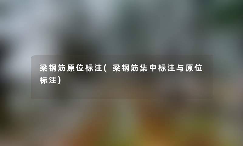 梁钢筋原位标注(梁钢筋集中标注与原位标注) 梁钢筋原位标注(梁钢筋集中标注与原位标注)