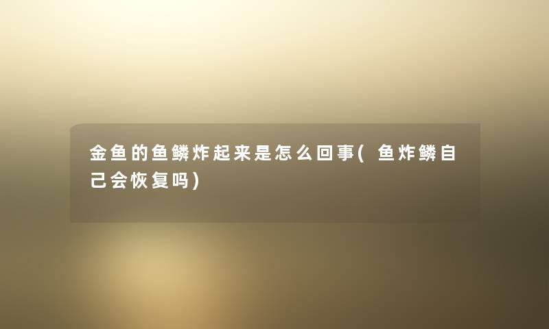 金鱼的鱼鳞炸起来是怎么回事(鱼炸鳞自己会恢复吗) 金鱼的鱼鳞炸起来是怎么回事(鱼炸鳞自己会恢复吗)