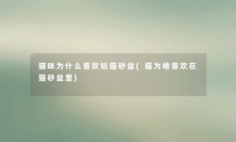 猫咪为什么喜欢钻猫砂盆(猫为啥喜欢在猫砂盆里) 猫咪为什么喜欢钻猫砂盆(猫为啥喜欢在猫砂盆里)