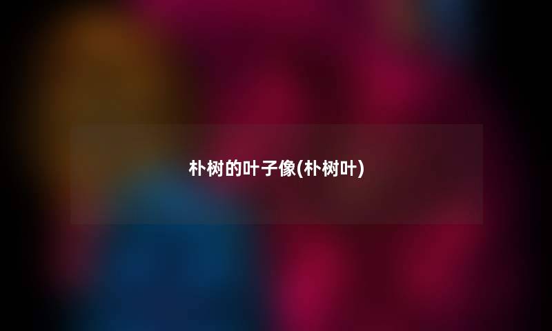 朴树的叶子像(朴树叶)