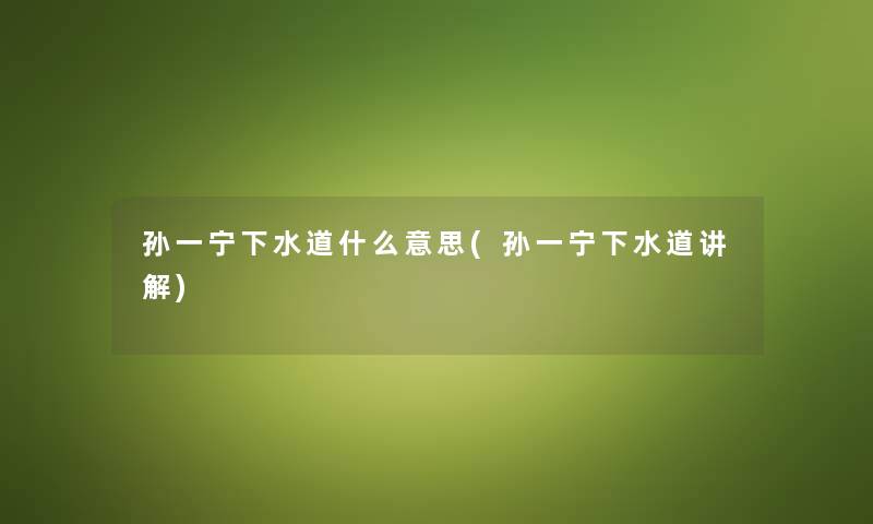 孙一宁下水道什么意思(孙一宁下水道讲解) 孙一宁下水道什么意思(孙一宁下水道讲解)