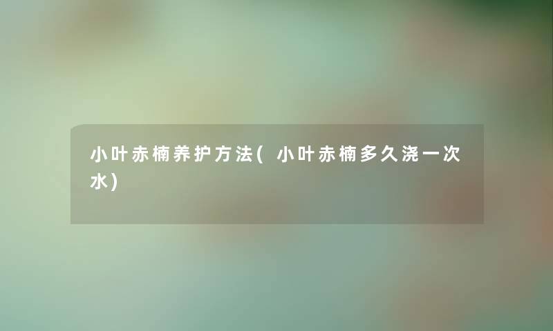 小叶赤楠养护方法(小叶赤楠多久浇一次水) 小叶赤楠养护方法(小叶赤楠多久浇一次水)