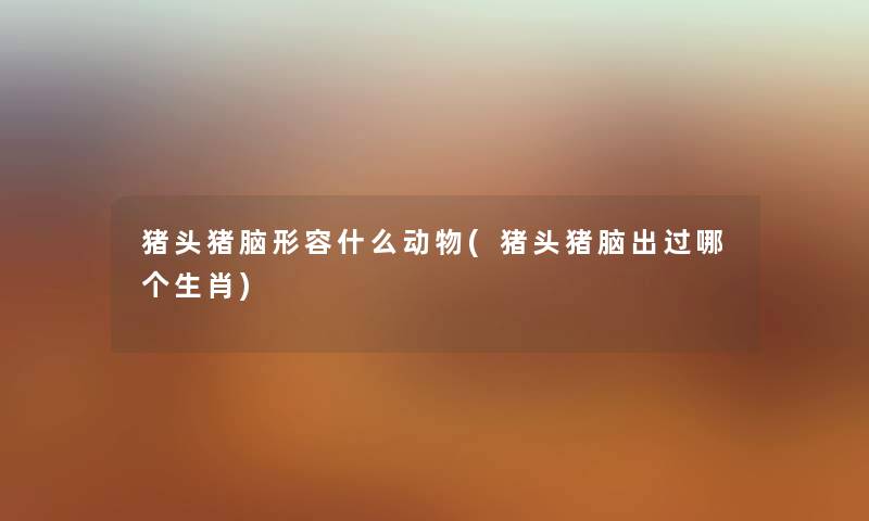 猪头猪脑形容什么动物(猪头猪脑出过哪个生肖) 猪头猪脑形容什么动物(猪头猪脑出过哪个生肖)
