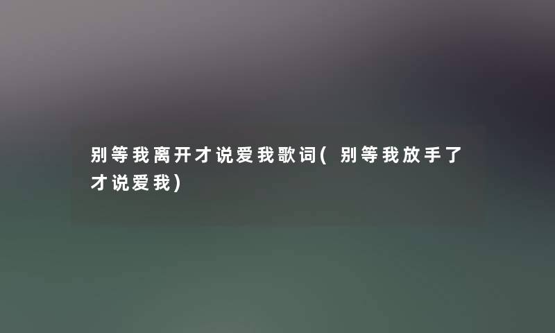 别等我离开才说爱我歌词(别等我放手了才说爱我) 别等我离开才说爱我歌词(别等我放手了才说爱我)