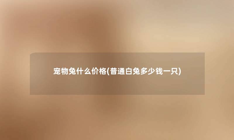 宠物兔什么价格(普通白兔多少钱一只) 宠物兔什么价格(普通白兔多少钱一只)