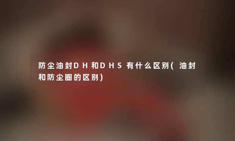 防尘油封DH和DHS有什么区别(油封和防尘圈的区别) 防尘油封DH和DHS有什么区别(油封和防尘圈的区别)