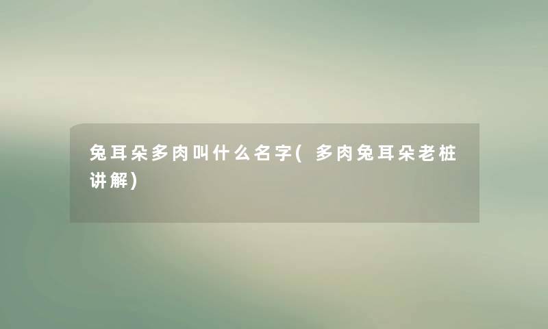 兔耳朵多肉叫什么名字(多肉兔耳朵老桩讲解) 兔耳朵多肉叫什么名字(多肉兔耳朵老桩讲解)