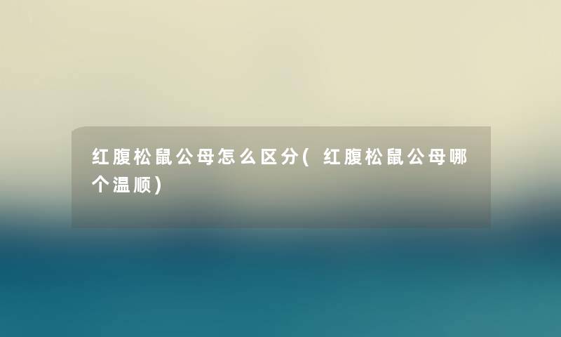 红腹松鼠公母怎么区分(红腹松鼠公母哪个温顺) 红腹松鼠公母怎么区分(红腹松鼠公母哪个温顺)