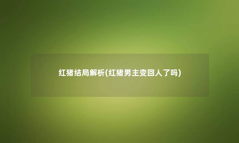 红猪结局解析(红猪男主变回人了吗) 红猪结局解析(红猪男主变回人了吗)