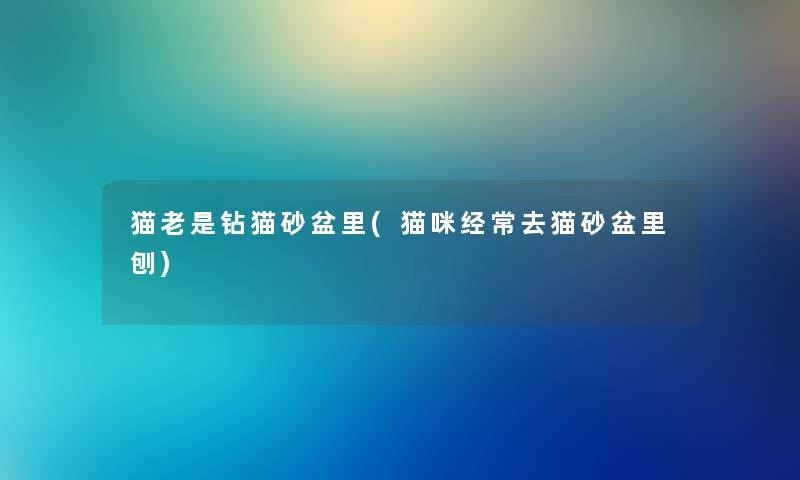 猫老是钻猫砂盆里(猫咪经常去猫砂盆里刨) 猫老是钻猫砂盆里(猫咪经常去猫砂盆里刨)