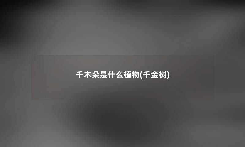 千木朵是什么植物(千金树) 千木朵是什么植物(千金树)