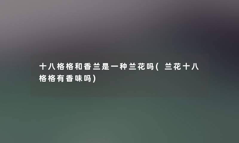 十八格格和香兰是一种兰花吗(兰花十八格格有香味吗) 十八格格和香兰是一种兰花吗(兰花十八格格有香味吗)