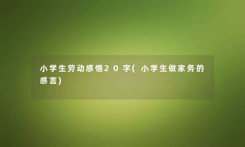 小学生劳动感悟20字(小学生做家务的感言) 小学生劳动感悟20字(小学生做家务的感言)