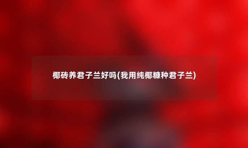 椰砖养君子兰好吗(我用纯椰糠种君子兰) 椰砖养君子兰好吗(我用纯椰糠种君子兰)