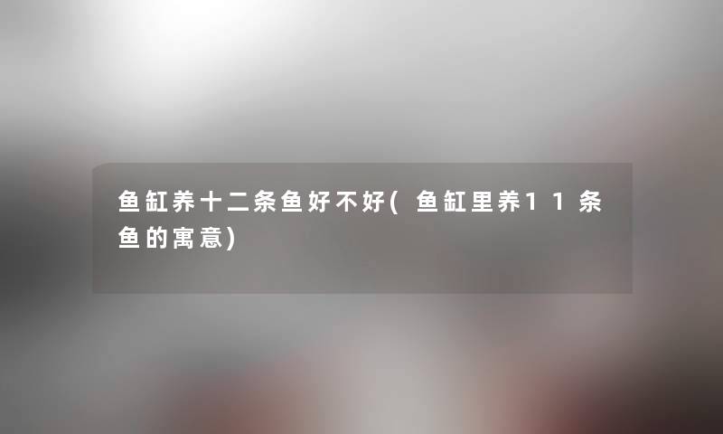 鱼缸养十二条鱼好不好(鱼缸里养11条鱼的寓意) 鱼缸养十二条鱼好不好(鱼缸里养11条鱼的寓意)