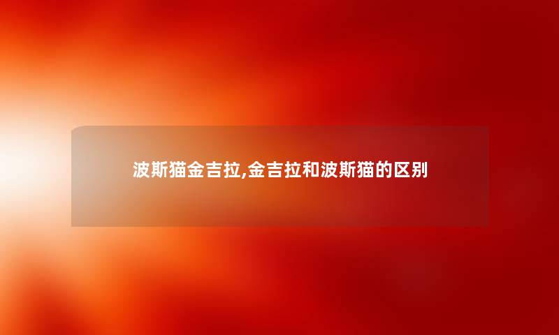 波斯猫金吉拉,金吉拉和波斯猫的区别 波斯猫金吉拉,金吉拉和波斯猫的区别