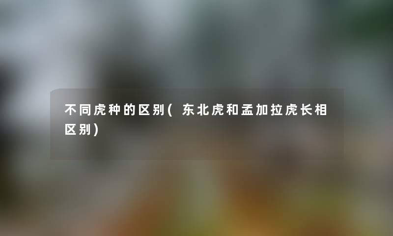 不同虎种的区别(东北虎和孟加拉虎长相区别) 不同虎种的区别(东北虎和孟加拉虎长相区别)
