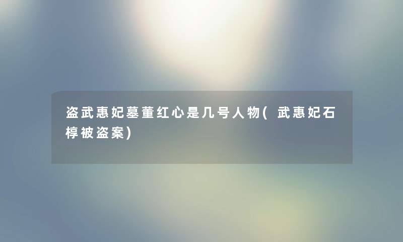 盗武惠妃墓董红心是几号人物(武惠妃石椁被盗案)
