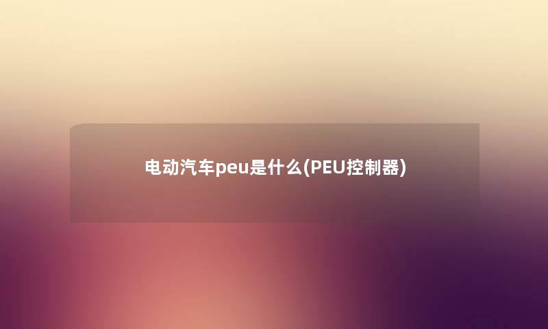 电动汽车peu是什么(PEU控制器)