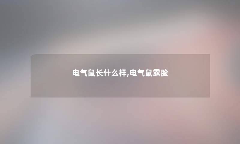 电气鼠长什么样,电气鼠露脸 电气鼠长什么样,电气鼠露脸